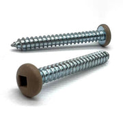 #8x1" Pan Head Square Drive Type AB Sheet Metal Screw Tan Painted Head Zinc