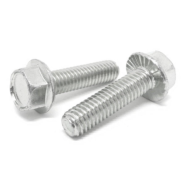 1/4-20x2" 18-8 Stainless Steel Serrated Hex Flange Bolts